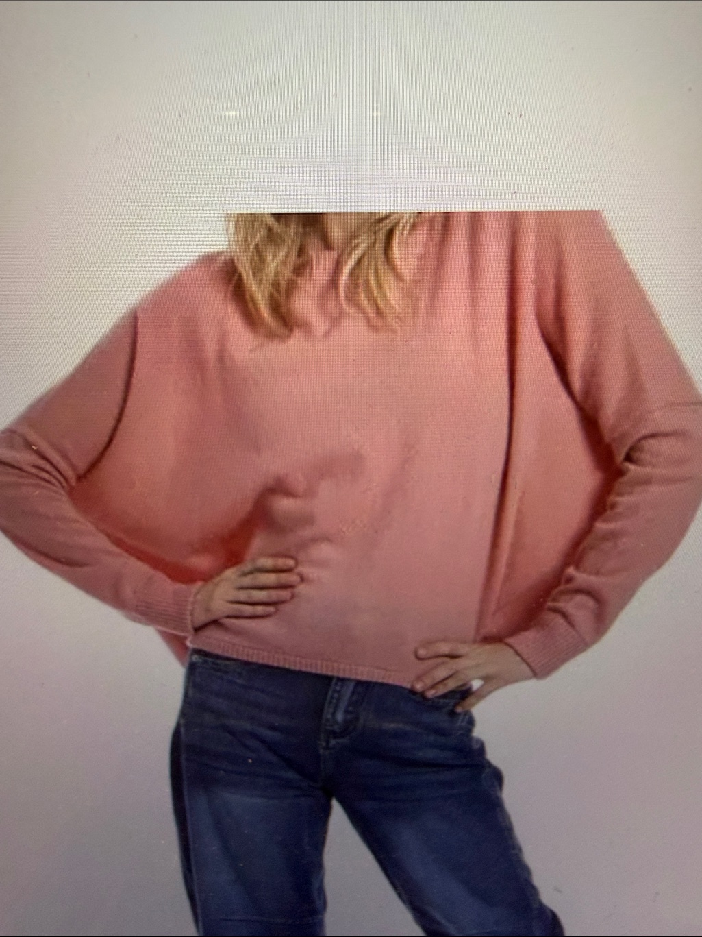 Minnie Rose Crop Crew Cashmere New
